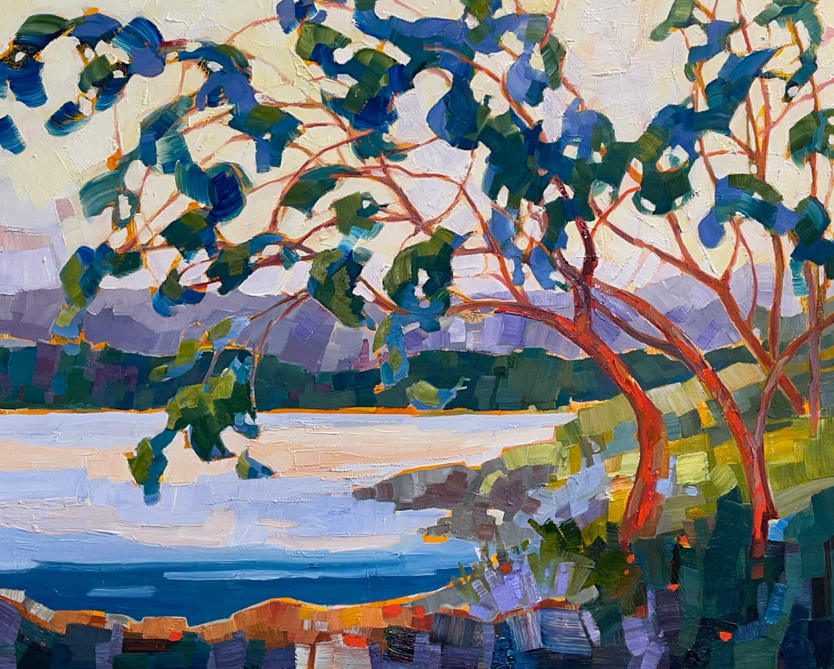 TS-2407 Madrone by the Shore 16 x 20 oil on canvas